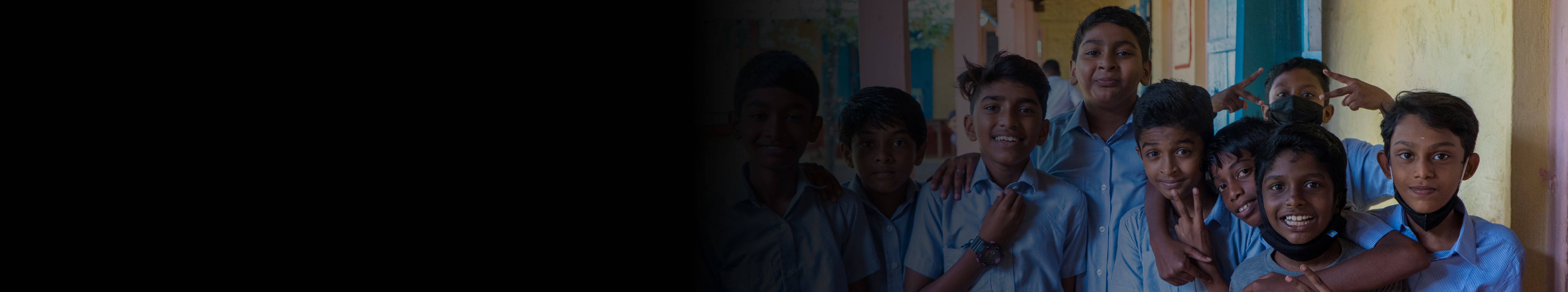 About the Foundation